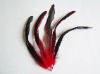 Fashion wholesale grizzly rooster feathers extension