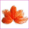 Fashion wholesale rich beautiful ostrich feathers