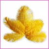 Fashion wholesale rich beautiful ostrich feathers