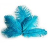 Fashion wholesale rich beautiful ostrich feathers