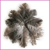 Fashion wholesale rich colored ostrich feathers