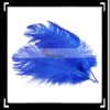 Fashionable!! 10pcs Home Decor Blue Ostrich Feathers