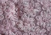 Fashionable Dribble double- deck net fabric embroidery for women's wedding and evening dress