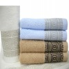 Fashionable and Softer 100% Cotton Hand Towel(F2010)