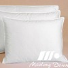 Feather And Down Pillow