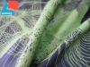 Fire Retardant and Blackout fabric