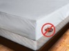 Fitted Bed Bug Cover