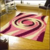 Floor Area Shaggy Carpet/Rug