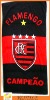Football club beach towel