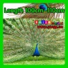 Free shipping DHL/FEDEX Top quality length 100cm-110cm eye-width 3cm beautiful natural peacock feather