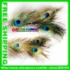 Free shipping DHL top quality 100pcs/lot length 30cm-60cm-70cm-80cm-90cm-100cm-110cm-120cm eye-width3cm natural peacock feather