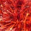 Fresh Nature New Collection Sea Grass Shaggy Carpet 100% Polyester Red Rug KW-SG002