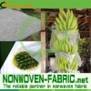 Fruit cover non-woven fabric