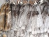 Fur skins, scraps!