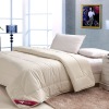 GB/T242 VIYOU 100%Cotton  New Pure Wool Embroidered Quilt