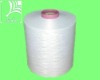 GUOLIN semi-dull polyester DTY (75D-600D)