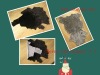 Genuine Australian sheepskin garment lining