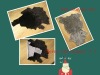 Genuine sheep fur garment lining
