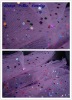 Glitter Tulle Fabric