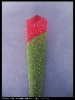 Glitter dipping non-woven fabrics flower wrapping paper roll/attractive floral wrapping sheet.