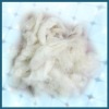 Goat Wool Waste