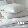 Goose Down Duvet And Pillow