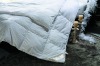 Goose down comforter& Quilts