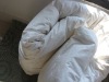 Goose  down quilt/soft and comfort