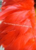 Goose feather boa