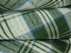 Green and White Chequered Plain Weave Kitchen Towel