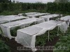 Growing and Plant Cover Nonwoven