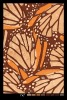 Guestroom Carpet
