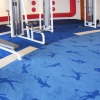 Gym Carpet