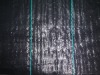 HIGH QUALITY PE/PP WEED WOVEN MAT FROM WEEDMAT