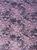 HL-0065 100% nylon lace fabric