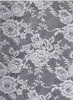 HL-015250 100% nylon lace fabric