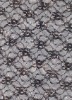 HL-9072-A080673-3 100% Nylon printed lace fabric