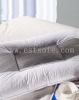 Handmade Healthy Mulberry Silk Pillow