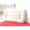 Healthy Pure Mulberry Silk Pillow