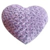 Heart Pillow