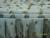 High Qulaity Finished Calf Skin