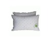 High-grade Environmental Friendly Antibacterial Silk Pillow