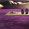 High-low Polyester Shaggy Carpet/Rug