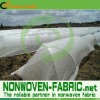 High quaity agricultural pp nonwoven Fabric for plant cover