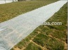 High quality Agricultural nonwoven fabrics