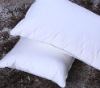 Hilton hotel down pillow