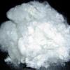 Hollow Siliconized/Dry Polyester Staple Fiber