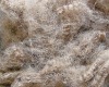 Hollow polyester staple fiber