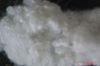 Hollow siliconised Polyester Fiber 15DX64MM