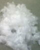 Hollow siliconised Polyester Fiber 7DX32MM